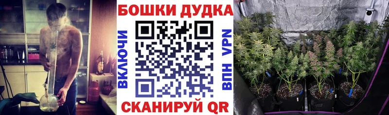 Где купить Лосино-Петровский ГАШ  Амфетамин  Галлюциногенные грибы  Мефедрон  Конопля  COCAIN 