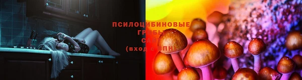 2c-b Абаза