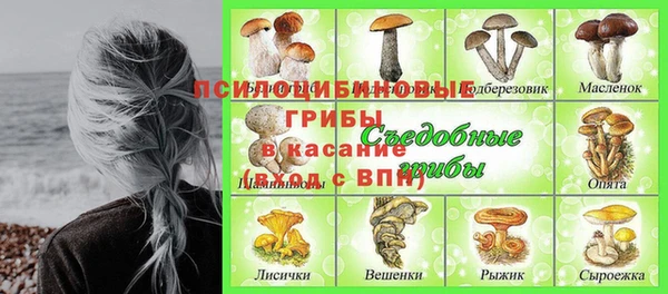 спайс Абинск