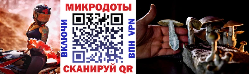 Псилоцибиновые грибы MAGIC MUSHROOMS Лосино-Петровский